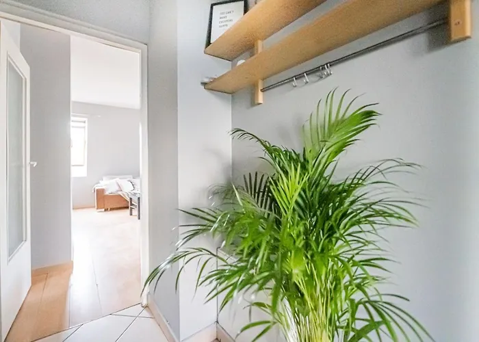 Niceone Number 7 - W Samym Centrum! 公寓 *