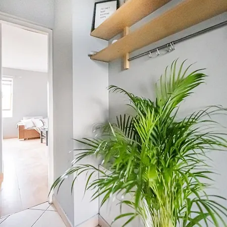 Niceone Number 7 - W Samym Centrum! Appartement *